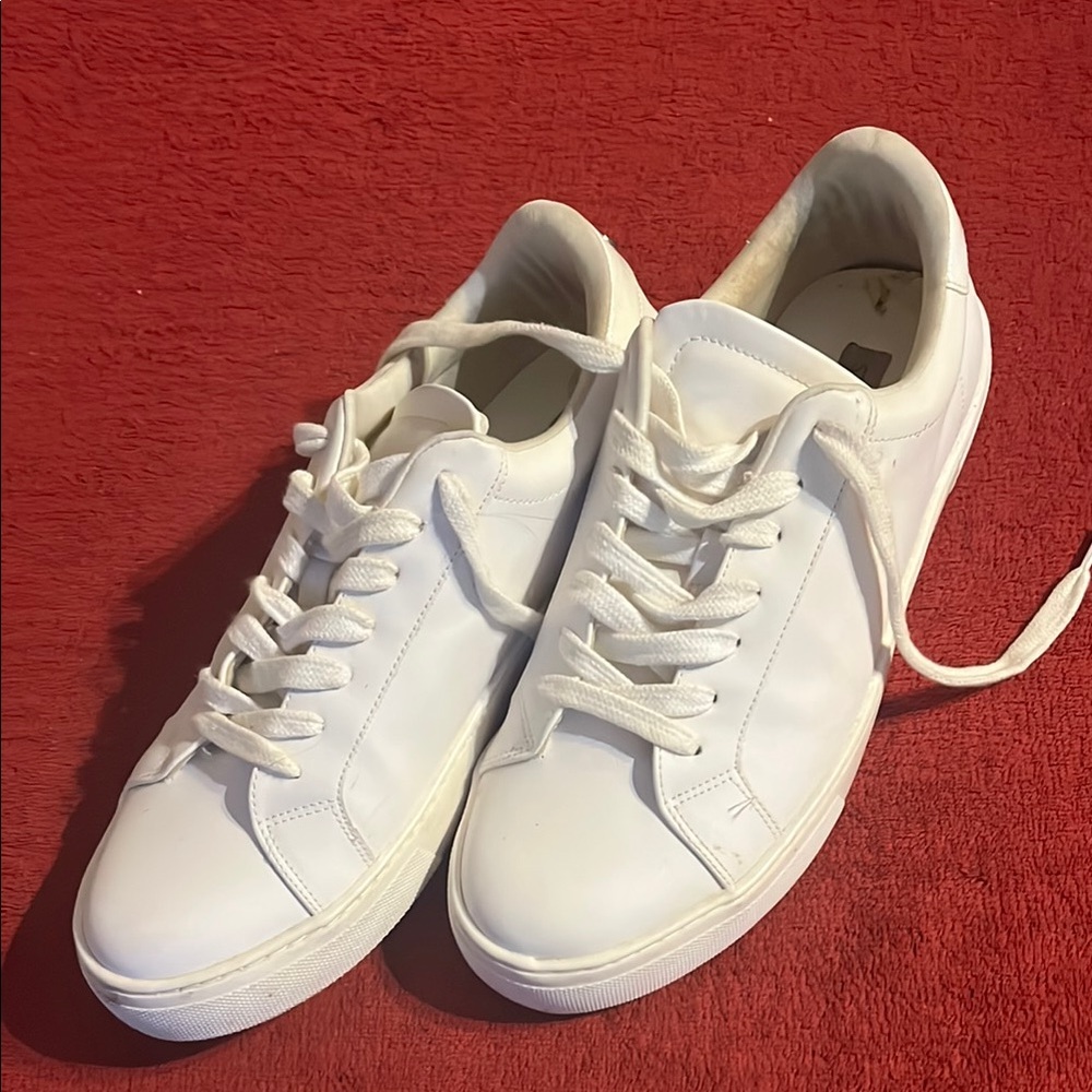 Steve Madden White ladies  Sneakers